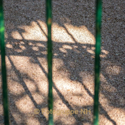 Fotowalk Wiesbaden Neroberg - Fotograf Joachim Clemens