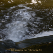 Fotowalk Schwarzbach Okriftel - Fotograf Christoph Fuhrmann