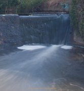 Fotowalk Schwarzbach Okriftel - Fotograf Jörg M. Zimmermann