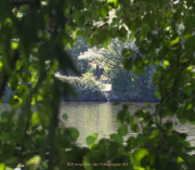 Fotowalk Schwarzbach Okriftel - Fotograf Jörg M. Zimmermann