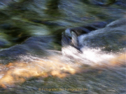 Fotowalk Schwarzbach Okriftel - Fotografin Anne Jeuk