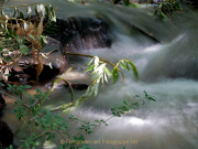 Fotowalk Schwarzbach Okriftel - Fotografin Anne Jeuk