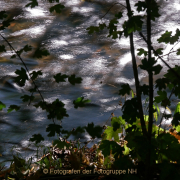 Fotowalk Schwarzbach Okriftel - Fotografin Anne Jeuk