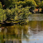 Fotowalk Schwarzbach Okriftel - Fotografin Anne Jeuk