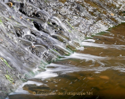 Fotowalk Schwarzbach Okriftel - Fotografin Anne Jeuk