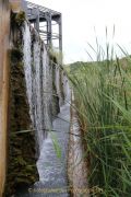 Industrie und Natur, Wassergarten Reden - Fotografin Christa Zimmermann