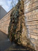 Industrie und Natur, Wassergarten Reden - Fotografin Christa Zimmermann