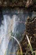 Industrie und Natur, Wassergarten Reden - Fotografin Jutta R. Buchwald