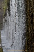 Industrie und Natur, Wassergarten Reden - Fotografin Jutta R. Buchwald