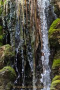 Industrie und Natur, Wassergarten Reden - Fotografin Jutta R. Buchwald