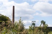 Industrie und Natur, Wassergarten Reden - Fotografin Jutta R. Buchwald