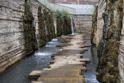 Industrie und Natur, Wassergarten Reden - Fotograf Werner Ch. Buchwald