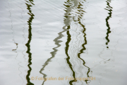 Fotowalk Schierstein - Fotografin Nicole Gieseler