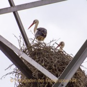 Fotowalk Schierstein - Fotografin Nicole Gieseler