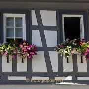 Fotowalk Seligenstadt - Fotograf Helmut Joa