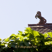 Fotowalk Seligenstadt - Fotograf Helmut Joa