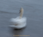 Walluf - Langzeitbelichtung - Fotografin Anne Jeuk
