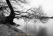 Walluf - Langzeitbelichtung - Fotografin Anne Jeuk