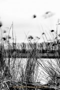 Walluf - Langzeitbelichtung - Fotografin Jutta R. Buchwald