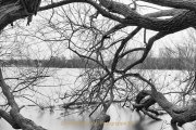 Walluf - Langzeitbelichtung - Fotografin Jutta R. Buchwald