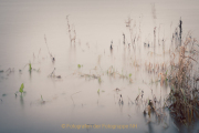 Walluf - Langzeitbelichtung - Fotograf Olaf Kratge