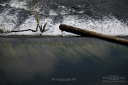 Fotowalk Weilburg - Fotograf Clemens Schnitzler