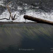 Fotowalk Weilburg - Fotograf Clemens Schnitzler