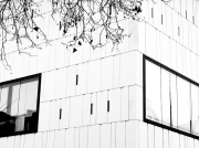 Aquae Mattiacorum Wiesbaden - Fotografin Anne Jeuk