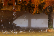 Aquae Mattiacorum Wiesbaden - Fotograf Clemens Schnitzler
