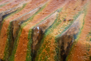 Aquae Mattiacorum Wiesbaden - Fotograf Clemens Schnitzler