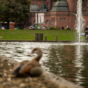 Fotowalk Wiesbaden RMCC und Umgebung - Fotografin Nicole Gieseler