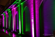 2015 Winterlichter im Palmengarten - Fotograf Michael Schwarz