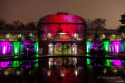 2015 Winterlichter im Palmengarten - Fotograf Michael Schwarz