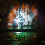 2015 Winterlichter im Palmengarten - Fotograf Michael Schwarz