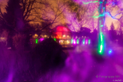 2015 Winterlichter im Palmengarten - Fotograf Michael Schwarz
