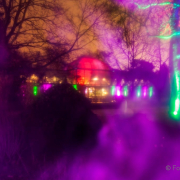 2015 Winterlichter im Palmengarten - Fotograf Michael Schwarz