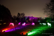 2015 Winterlichter im Palmengarten - Fotograf Michael Schwarz