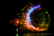 2015 Winterlichter im Palmengarten - Fotografin Jutta R. Buchwald
