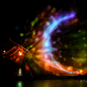 2015 Winterlichter im Palmengarten - Fotografin Jutta R. Buchwald