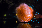 2015 Winterlichter im Palmengarten - Fotografin Jutta R. Buchwald