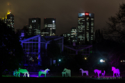 2015 Winterlichter im Palmengarten - Fotografin Jutta R. Buchwald