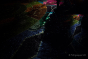 2015 Winterlichter im Palmengarten - Fotografin Jutta R. Buchwald