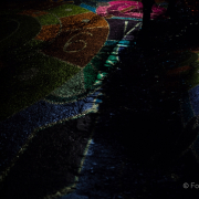 2015 Winterlichter im Palmengarten - Fotografin Jutta R. Buchwald
