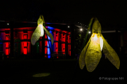 2015 Winterlichter im Palmengarten - Fotografin Jutta R. Buchwald