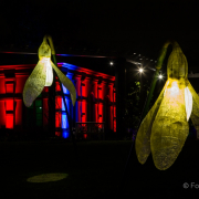 2015 Winterlichter im Palmengarten - Fotografin Jutta R. Buchwald