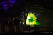 2015 Winterlichter im Palmengarten - Fotografin Jutta R. Buchwald