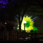 2015 Winterlichter im Palmengarten - Fotografin Jutta R. Buchwald