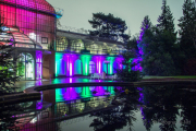 2015 Winterlichter im Palmengarten - Fotografin Nicole Gieseler