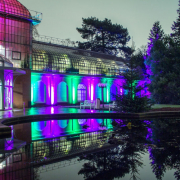 2015 Winterlichter im Palmengarten - Fotografin Nicole Gieseler