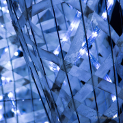 2015 Winterlichter im Palmengarten - Fotografin Nicole Gieseler